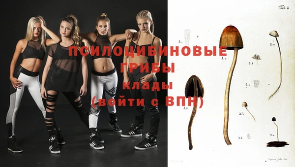 герыч Арсеньев