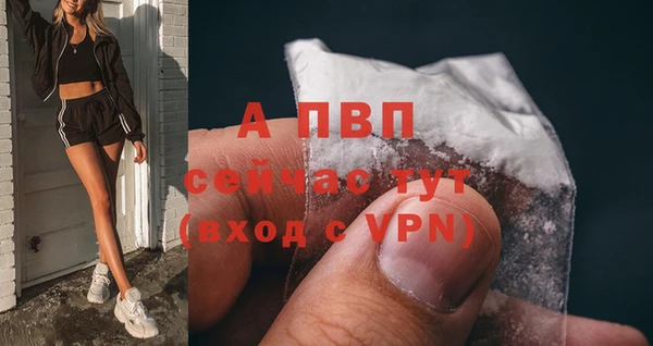 дмт Алексин